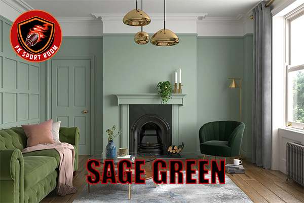 Top 5 Paint Colors for Living Room: Transform Your Space with Style Sage green
