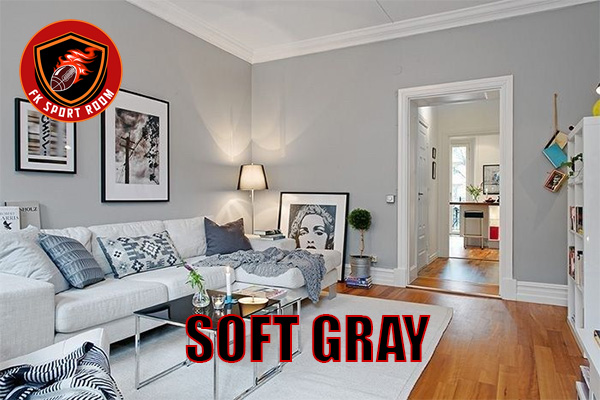 Top 5 Paint Colors for Living Room: Transform Your Space with Style Soft gray