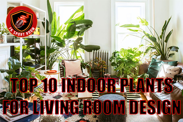 Top 10 Indoor Plants for Living Room Design: Stylish Greenery to Transform Your Space